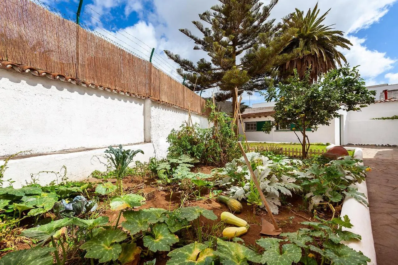 Patio Hostel (Adults Only) La Laguna  0*, La Laguna (Tenerife)